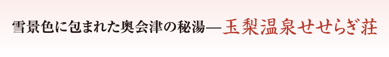 雪景色に包まれた奥会津の秘湯-玉梨温泉せせらぎ荘