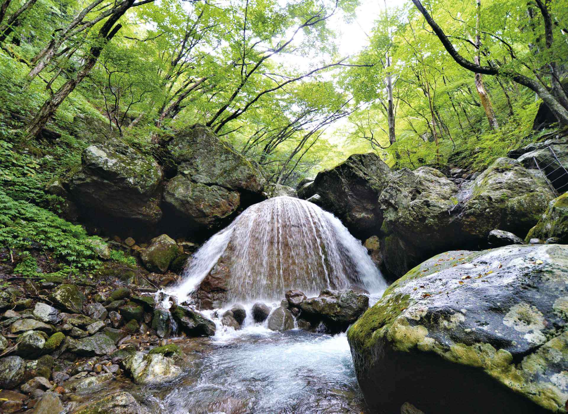 土と水 第80号-2022年6月号-