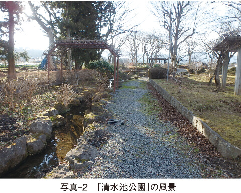 写真-2　「清水池公園」の風景