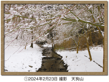 ①2024年2月23日 撮影　天狗山