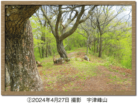 ②2024年4月27日 撮影　宇津峰山