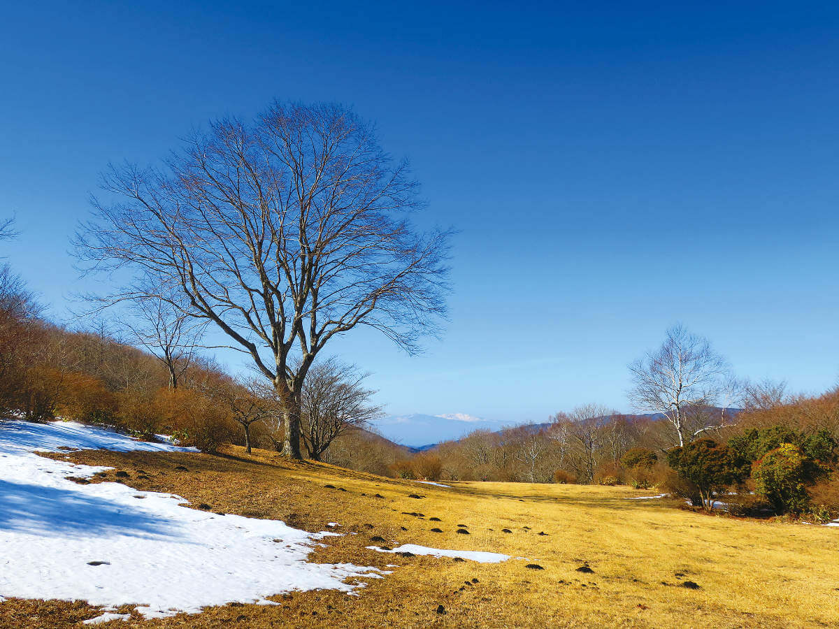 撮影地／福島県田村市都路町『五十人山 頂上』 撮影日／2024年2月 撮影／佐藤 正基