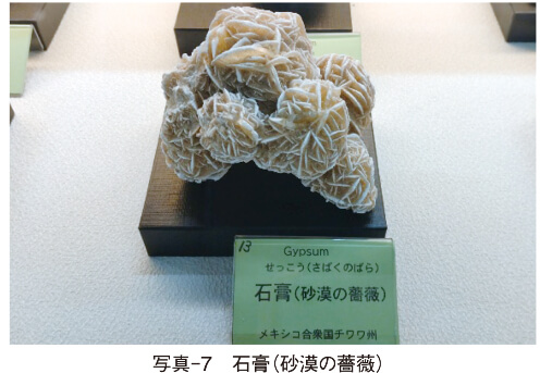 写真-7 石膏(砂漠の薔薇)