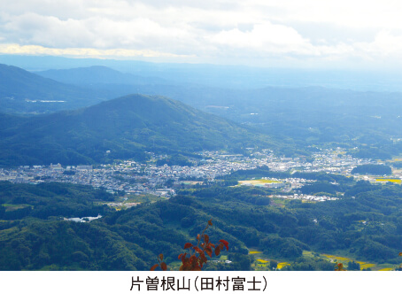 片曽根山（田村富士）