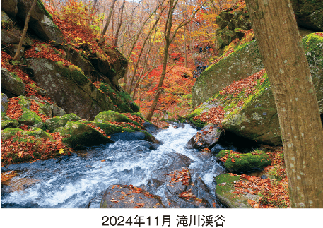 2024年11月 滝川渓谷